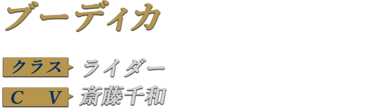 nameplate-info-BoudicaRider.png